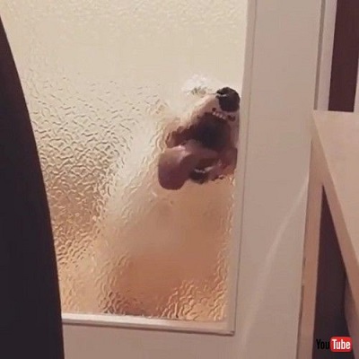 playing with the tail