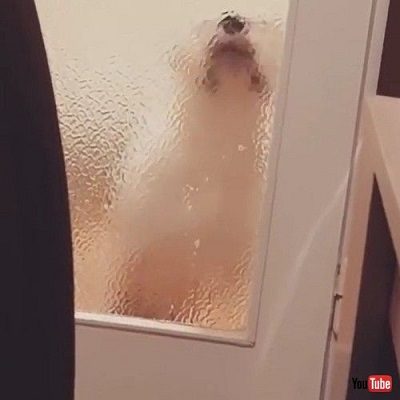 playing with the tail