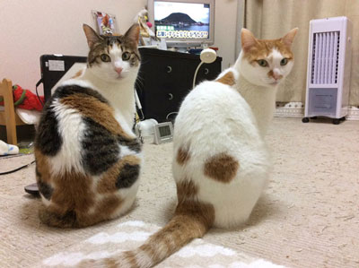 同時にふりむき