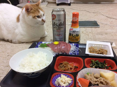 晩酌とにゃんこ