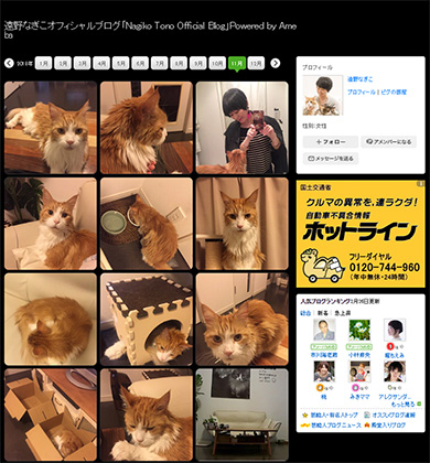 遠野なぎこ 猫 犬 ペット アクセサリー ニヤつく