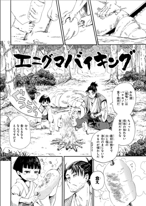 エニグマバイキング