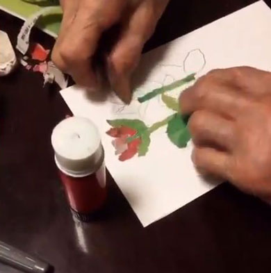 茎を張るところ