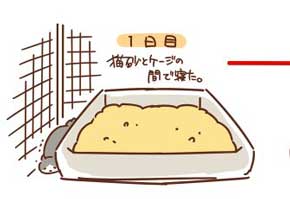 猫 拾ってから 現在 一緒 寝るまで 90日 下僕 イラスト