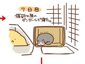 猫 拾ってから 現在 一緒 寝るまで 90日 下僕 イラスト