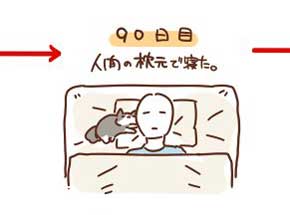 猫 拾ってから 現在 一緒 寝るまで 90日 下僕 イラスト