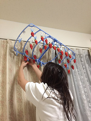 いちご狩り イチゴ 彼女