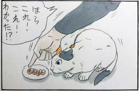 猫 あるある 幸せ 表情 4コマ漫画 拾い猫のモチャ 単行本 2巻 海外進出 にごたろ