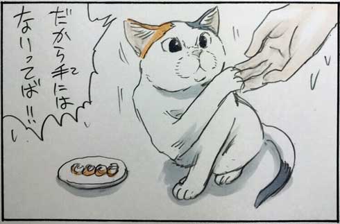 猫 あるある 幸せ 表情 4コマ漫画 拾い猫のモチャ 単行本 2巻 海外進出 にごたろ
