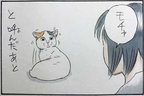 猫 あるある 幸せ 表情 4コマ漫画 拾い猫のモチャ 単行本 2巻 海外進出 にごたろ