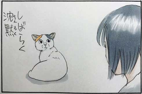 猫 あるある 幸せ 表情 4コマ漫画 拾い猫のモチャ 単行本 2巻 海外進出 にごたろ