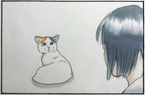 猫 あるある 幸せ 表情 4コマ漫画 拾い猫のモチャ 単行本 2巻 海外進出 にごたろ