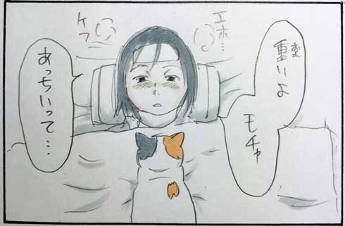 猫 あるある 幸せ 表情 4コマ漫画 拾い猫のモチャ 単行本 2巻 海外進出 にごたろ