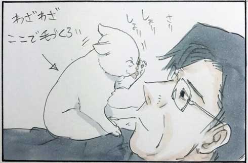 猫 あるある 幸せ 表情 4コマ漫画 拾い猫のモチャ 単行本 2巻 海外進出 にごたろ