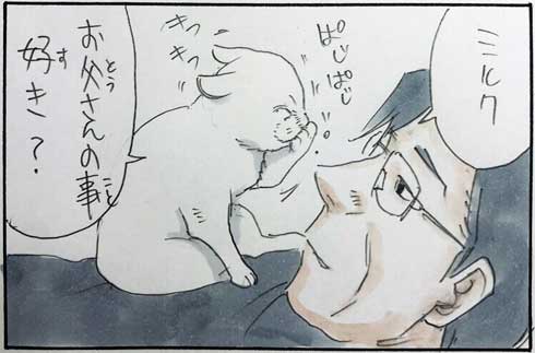 猫 あるある 幸せ 表情 4コマ漫画 拾い猫のモチャ 単行本 2巻 海外進出 にごたろ