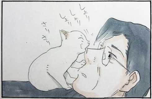 猫 あるある 幸せ 表情 4コマ漫画 拾い猫のモチャ 単行本 2巻 海外進出 にごたろ