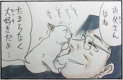 猫 あるある 幸せ 表情 4コマ漫画 拾い猫のモチャ 単行本 2巻 海外進出 にごたろ