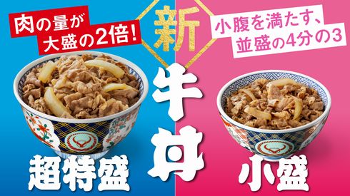 非売品　吉野家　どんぶり　大盛　並盛 非売品】 吉野家 どんぶり 丼 並｜住まい、インテリア