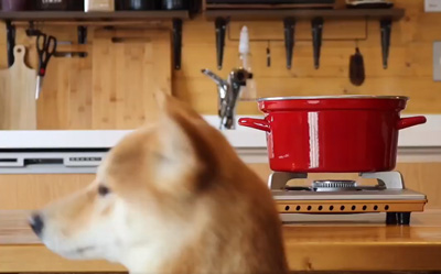 シャフ度スタンバイ