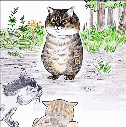 俺、つしま 単行本 2巻 猫 漫画 テルオ 野良猫