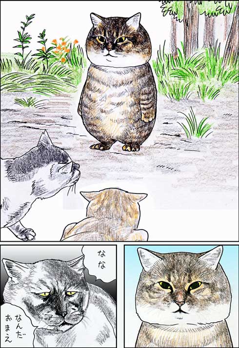 俺、つしま 単行本 2巻 猫 漫画 テルオ 野良猫