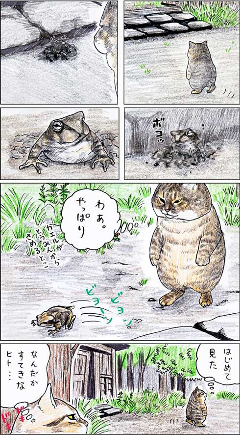 俺、つしま 単行本 2巻 猫 漫画 テルオ 野良猫
