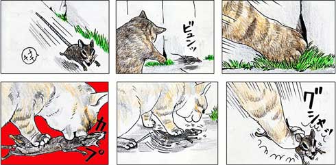 俺、つしま 単行本 2巻 猫 漫画 テルオ 野良猫