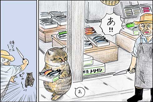 俺、つしま 単行本 2巻 猫 漫画 テルオ 野良猫