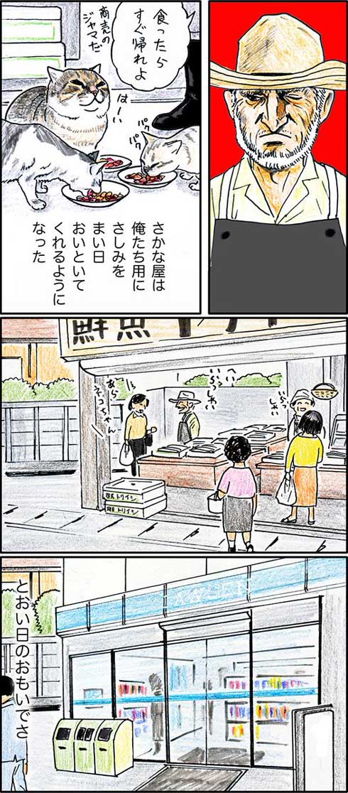 俺、つしま 単行本 2巻 猫 漫画 テルオ 野良猫