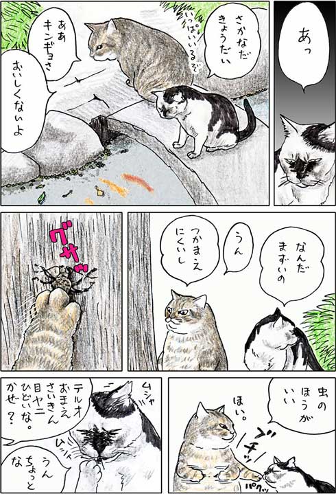 俺、つしま 単行本 2巻 猫 漫画 テルオ 野良猫