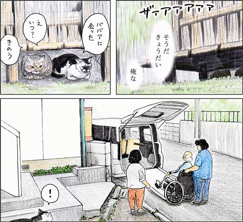 俺、つしま 単行本 2巻 猫 漫画 テルオ 野良猫