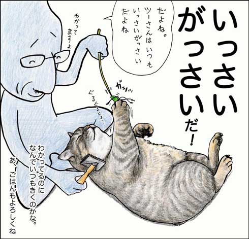 俺、つしま 単行本 2巻 猫 漫画 テルオ 野良猫