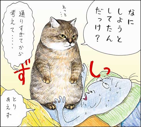 俺、つしま 単行本 2巻 猫 漫画 テルオ 野良猫