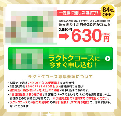 パンフレットの抜粋