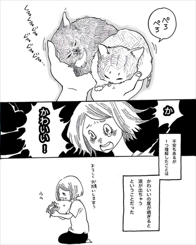 こねこのドレイ