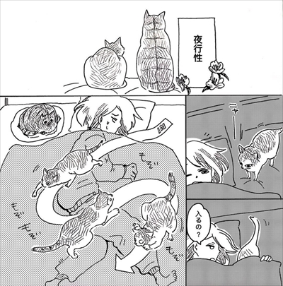 こねこのドレイ