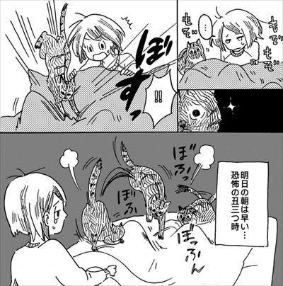 こねこのドレイ