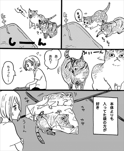 こねこのドレイ