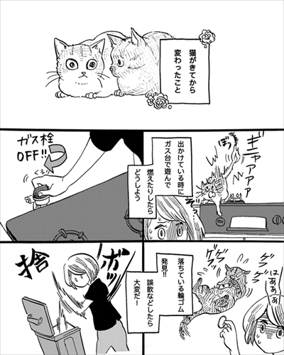 こねこのドレイ