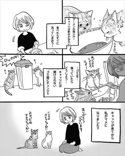 こねこのドレイ