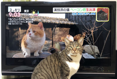 テレビの前