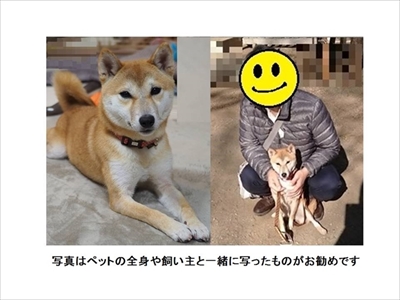 ペットのプロフィールカード