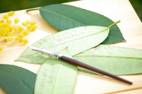 ヤギの郵便屋さん