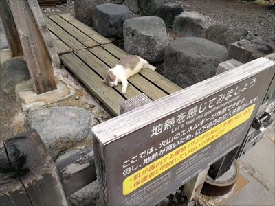説明