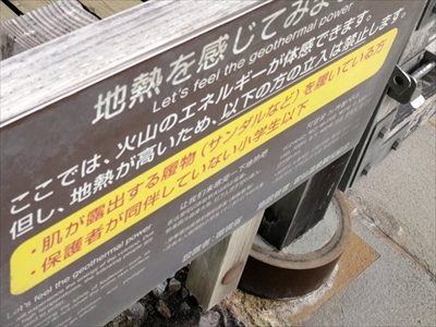 地熱を感じる猫さん