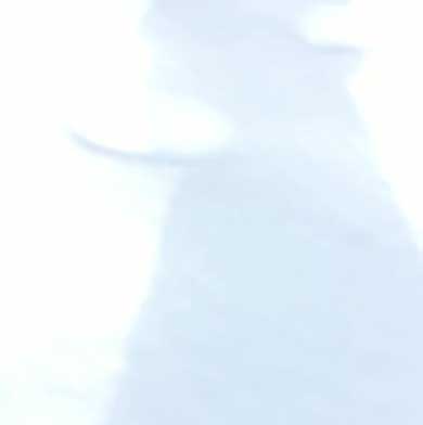 人間を足に使う 猫 雪 避ける お散歩 背中 乗る