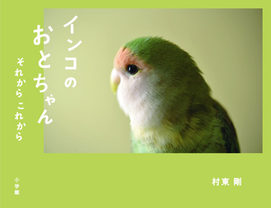 おとちゃん