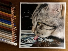 色鉛筆画 A4キジトラ68 色鉛筆画 色鉛筆画【猫の絵】独学で描いてみました A4キジトラ68
