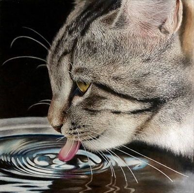 色鉛筆で描いた猫さん