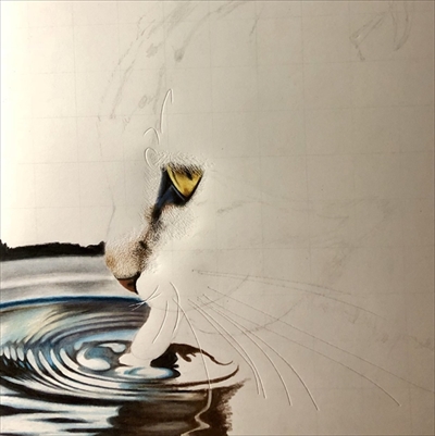 色鉛筆で描いた猫さん